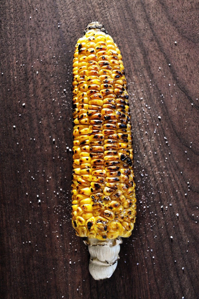 grilled-corn-1474114_1280
