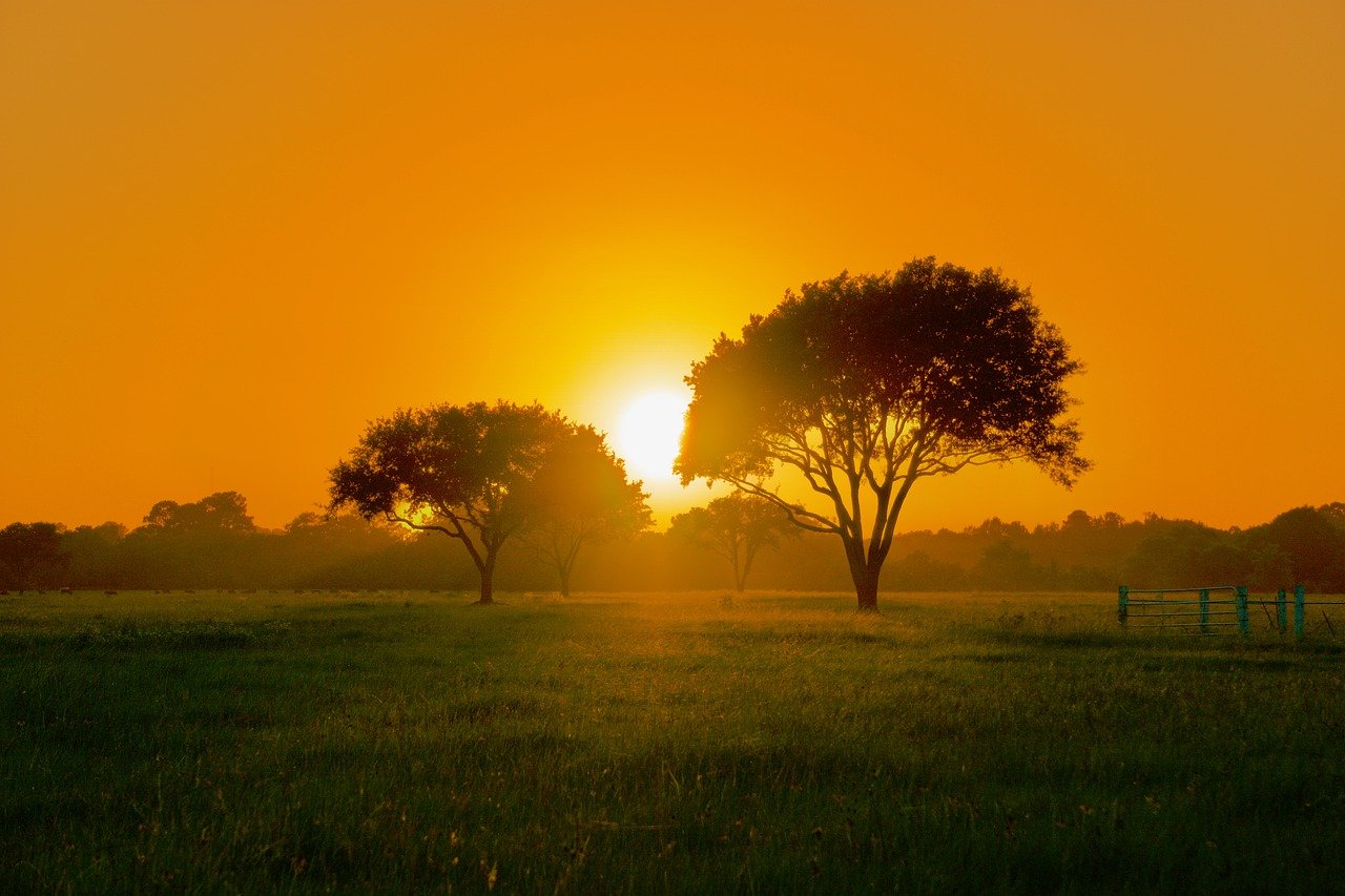 texas sunset